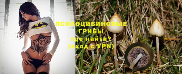 кокс Няндома