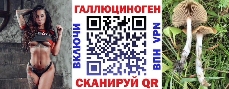 Псилоцибиновые грибы Cubensis  Раменское 
